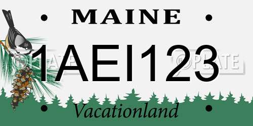 1AEI123 Maine License Plate