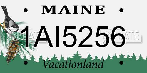 1AI5256 Maine License Plate