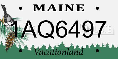 1AQ6497 Maine License Plate