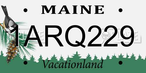 1ARQ229 Maine License Plate