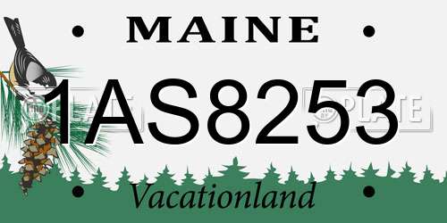 1AS8253 Maine License Plate