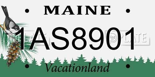 1AS8901 Maine License Plate