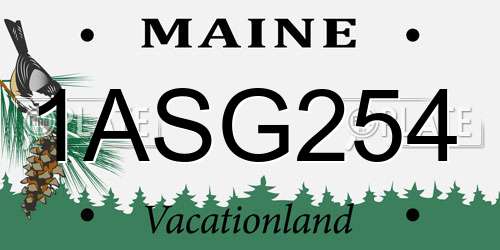 1ASG254 Maine License Plate