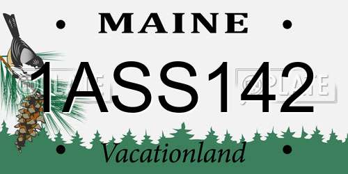 1ASS142 Maine License Plate