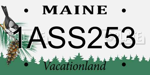 1ASS253 Maine License Plate