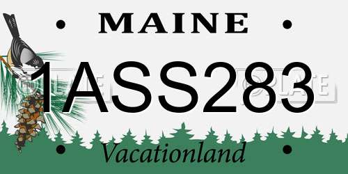 1ASS283 Maine License Plate