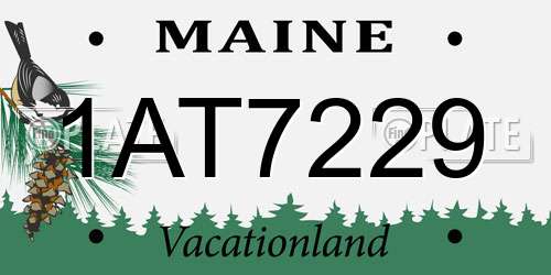 1AT7229 Maine License Plate