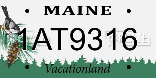 1AT9316 Maine License Plate