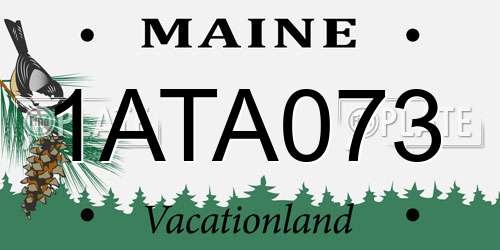 1ATA073 Maine License Plate