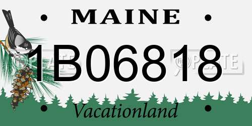 1B06818 Maine License Plate