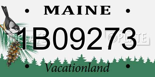 1B09273 Maine License Plate
