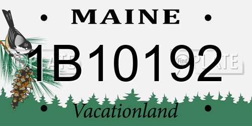 1B10192 Maine License Plate