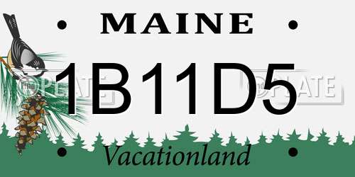 1B11D5 Maine License Plate