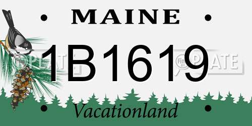 1B1619 Maine License Plate