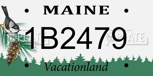 1B2479 Maine License Plate