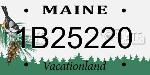 1B25220 Maine License Plate