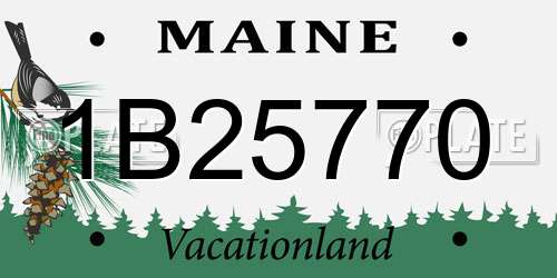 1B25770 Maine License Plate