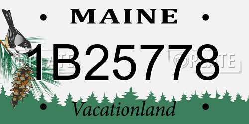 1B25778 Maine License Plate