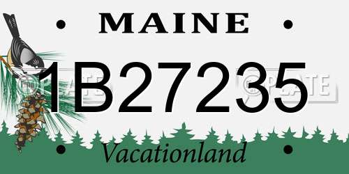 1B27235 Maine License Plate