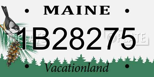 1B28275 Maine License Plate