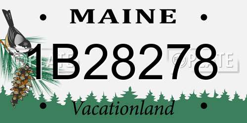 1B28278 Maine License Plate