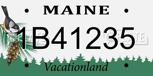 1B41235 Maine License Plate