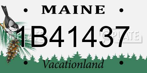 1B41437 Maine License Plate