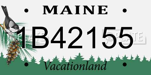 1B42155 Maine License Plate