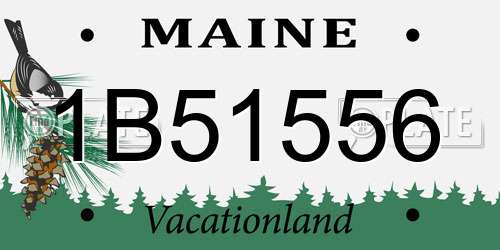 1B51556 Maine License Plate