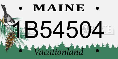1B54504 Maine License Plate