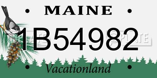 1B54982 Maine License Plate