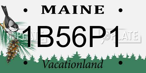 1B56P1 Maine License Plate
