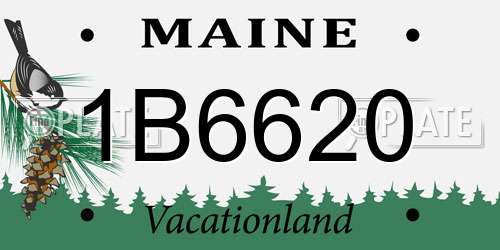 1B6620 Maine License Plate