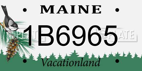 1B6965 Maine License Plate
