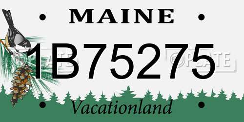 1B75275 Maine License Plate