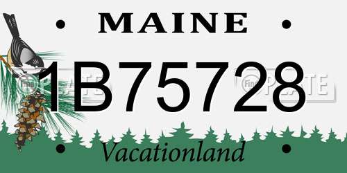 1B75728 Maine License Plate