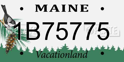 1B75775 Maine License Plate