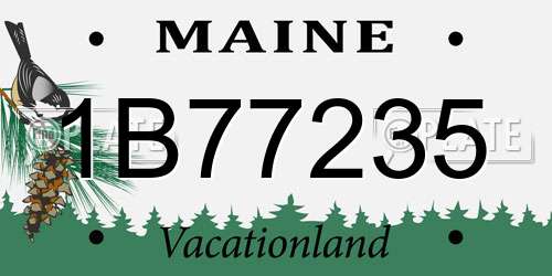 1B77235 Maine License Plate