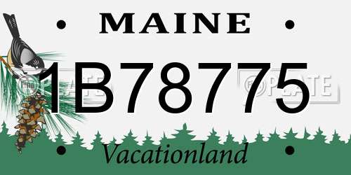 1B78775 Maine License Plate