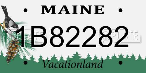 1B82282 Maine License Plate