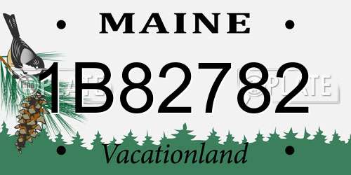 1B82782 Maine License Plate