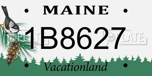 1B8627 Maine License Plate