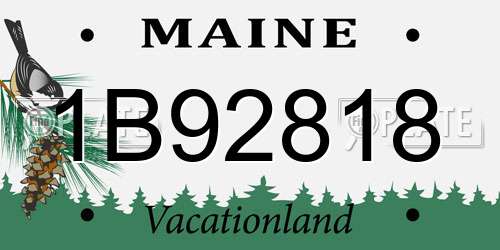 1B92818 Maine License Plate