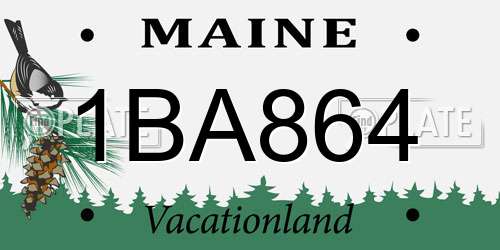 1BA864 Maine License Plate