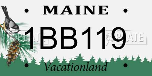 1BB119 Maine License Plate