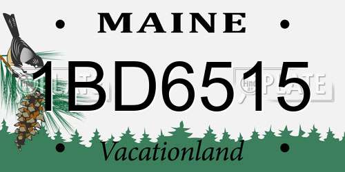 1BD6515 Maine License Plate