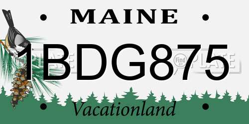 1BDG875 Maine License Plate