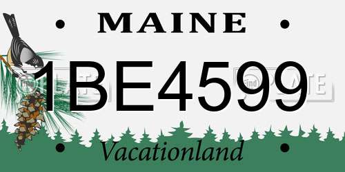 1BE4599 Maine License Plate