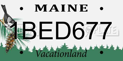 1BED677 Maine License Plate