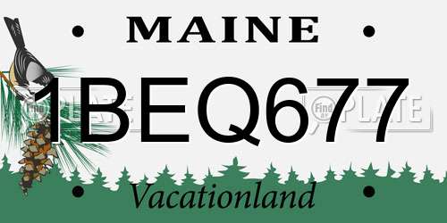 1BEQ677 Maine License Plate